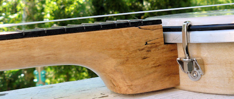 Waverly Street banjo ukulele, neck, showing high action